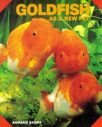 Goldfish As a New Pet