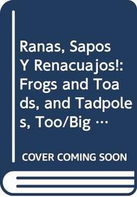 Ranas, Sapos Y Renacuajos!: Frogs and Toads, and Tadpoles, Too/Big Book (Rookie Read-About Science (Paperback Spanish))