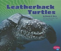 Leatherback Turtles (Reptiles)