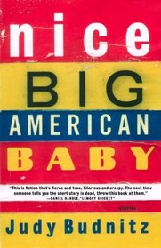 Nice Big American Baby (Vintage Contemporaries)