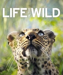 Life In The Wild