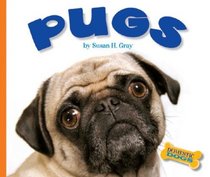 Pugs (Domestic Dogs)