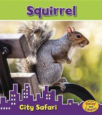 Squirrel: City Safari