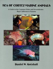 Sea of Cortez Marine Animals: A Guide to the Common Fishes and Invertebrates Baja California to Panama