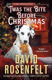'Twas the Bite Before Christmas (An Andy Carpenter Novel, 28)