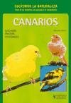 Canarios de color / Colorful Canaries: Cuidados, Crianza, Variedades (Spanish Edition)
