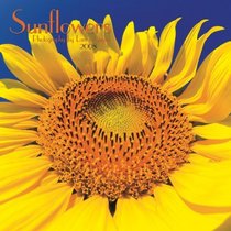 Sunflowers 2008 Wall Calendar (Multilingual Edition)