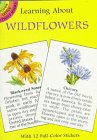 Learning About Wildflowers (Learning About Series)