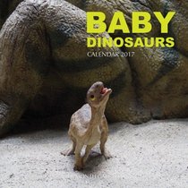 Baby Dinosaurs Calendar 2017: 16 Month Calendar