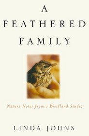 A Feathered Family: Nature Notes from a Woodland Studio