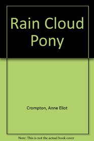 Rain Cloud Pony