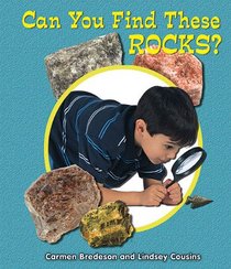 Can You Find These Rocks? (All about Nature)