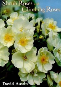Shrub Roses  Climbing Roses: With Hybrid Tea and Floribunda Roses