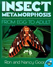 Insect Metamorphosis (Aladdin Picture Books)