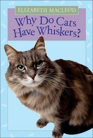 Why Do Cats Have Whiskers?