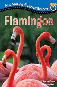 Flamingos (All Aboard Science Reader)