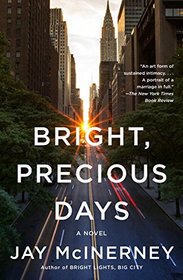Bright, Precious Days: A Novel (Vintage Contemporaries)