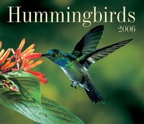 Hummingbirds 2006