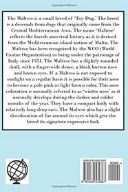 The  Maltese: A Complete and Comprehensive Owners Guide to: Buying, Owning, Health, Grooming, Training, Obedience, Understanding and Caring for Your ... to Caring for a Dog from a Puppy to Old Age)