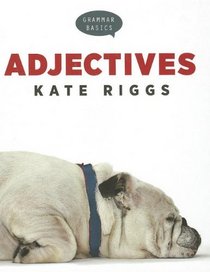 Adjectives (Grammar Basics)