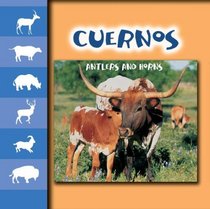 Cuernos / Antlers and Horns (Let's Look at Animal Discovery Library (Bilingual Edition))