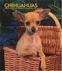 Chihuahuas 2008 Hardcover Weekly Engagement Calendar