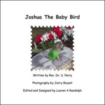 Joshua the Baby Bird