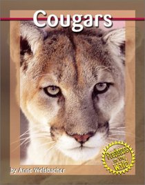 Cougars (Predators in the Wild)