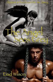 The Angel Sees Grey: Pleasure & Punishment for Mr. Darcy