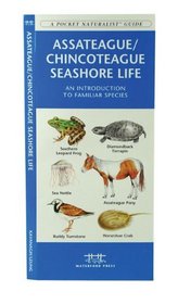 Assateague/Chincoteague Seashore Life: An Introduction to Familiar Species (A Pocket Naturalist Guide)
