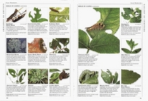 The Royal Horticultural Society Pests and Diseases (RHS S.)