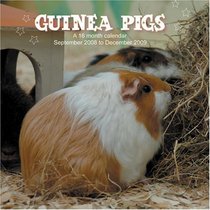 Guinea Pigs 2009 Wall Calendar (English and French Edition)