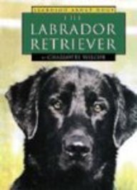 The Labrador Retriever (Learning About Dogs)