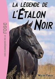 La legende de l'Etalon Noir (The Black Stallion Legend) (Black Stallion, Bk 19) (French Edition)