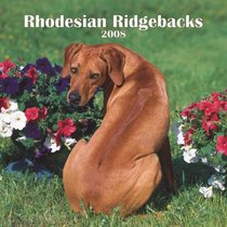 Rhodesian Ridgebacks 2008 Square Wall Calendar (German, French, Spanish and English Edition)