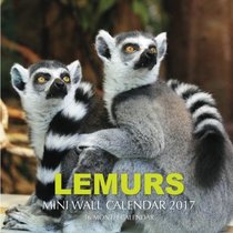 Lemurs Mini Wall Calendar 2017: 16 Month Calendar