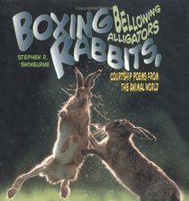 Boxing Rabbits,Bellowing Allig (Single Titles)