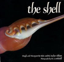 The shell