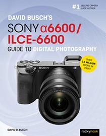David Busch?s Sony Alpha a6600/ILCE-6600 Guide to Digital Photography (The David Busch Camera Guide Series)