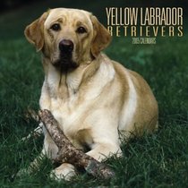 Yellow Labrador Retrievers 2005 Wall Calendar