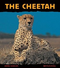 The Cheetah: Fast as Lightning (Animal Close-Ups) (Animal Close-Ups)