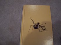 Spider Jane (A Break-of-day book)
