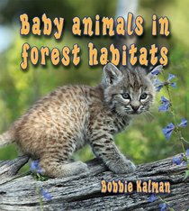 Baby Animals in Forest Habitats (Habitats of Baby Animals)