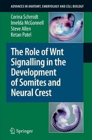 The Role of Wnt Signalling in the Development of Somites and Neural Crest (Advances in Anatomy, Embryology and Cell Biology)