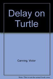 Delay on Turtle