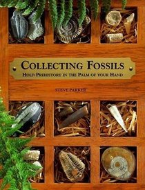 The Fossil Collection Kit: Hold Prehistory In The Palm Of Your Hand