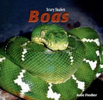 Boas (Scary Snakes)