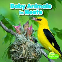 Baby Animals in Nests (Baby Animals and Their Homes)