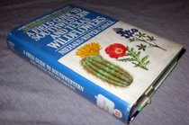 A Field Guide to Southwestern and Texas Wildflowers (Peterson Field Guide Series)