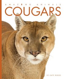 Amazing Animals: Cougars